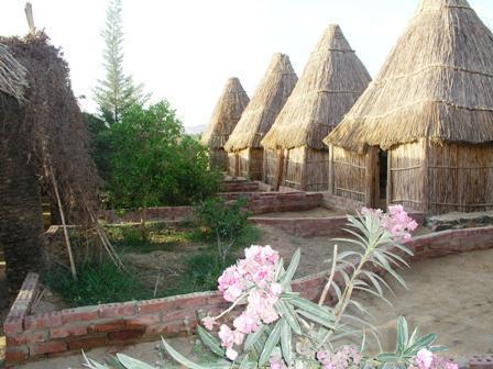 Badry Sahara Camp Hotel Bawati Стая снимка